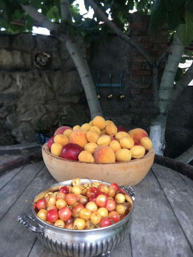My Garden Ξενοδοχείο Τυφλίδα Εξωτερικό φωτογραφία